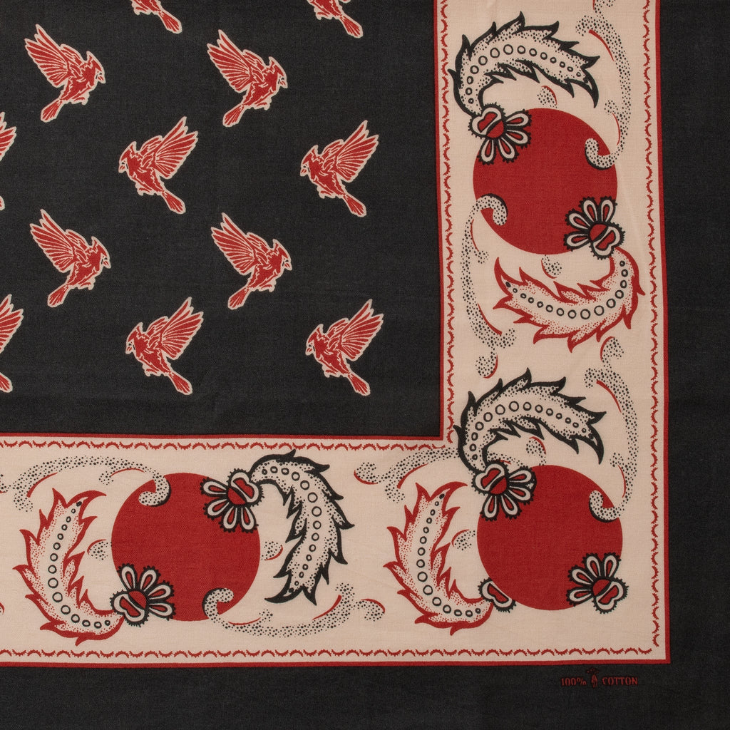 Cardinal