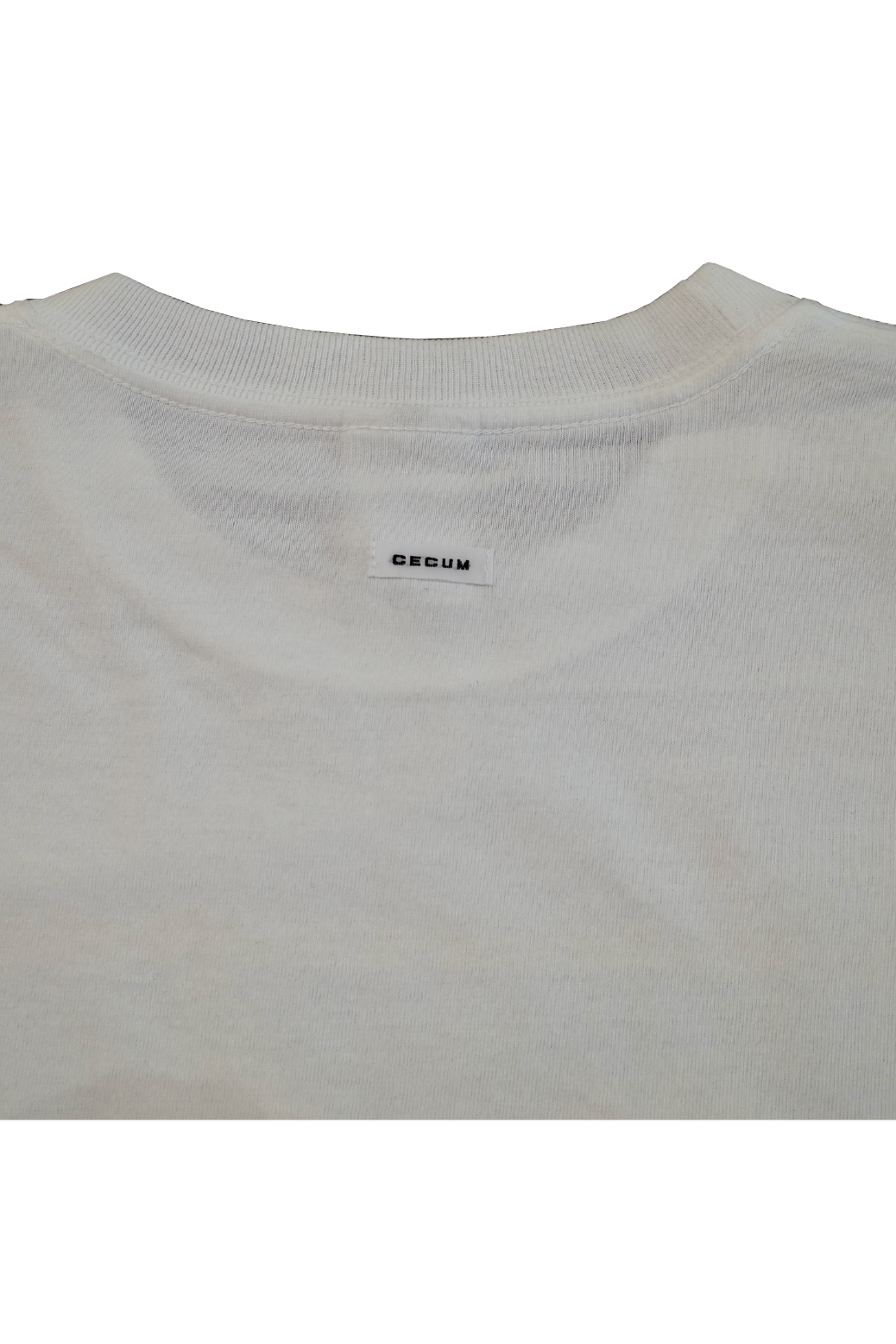 sun flower Tシャツ