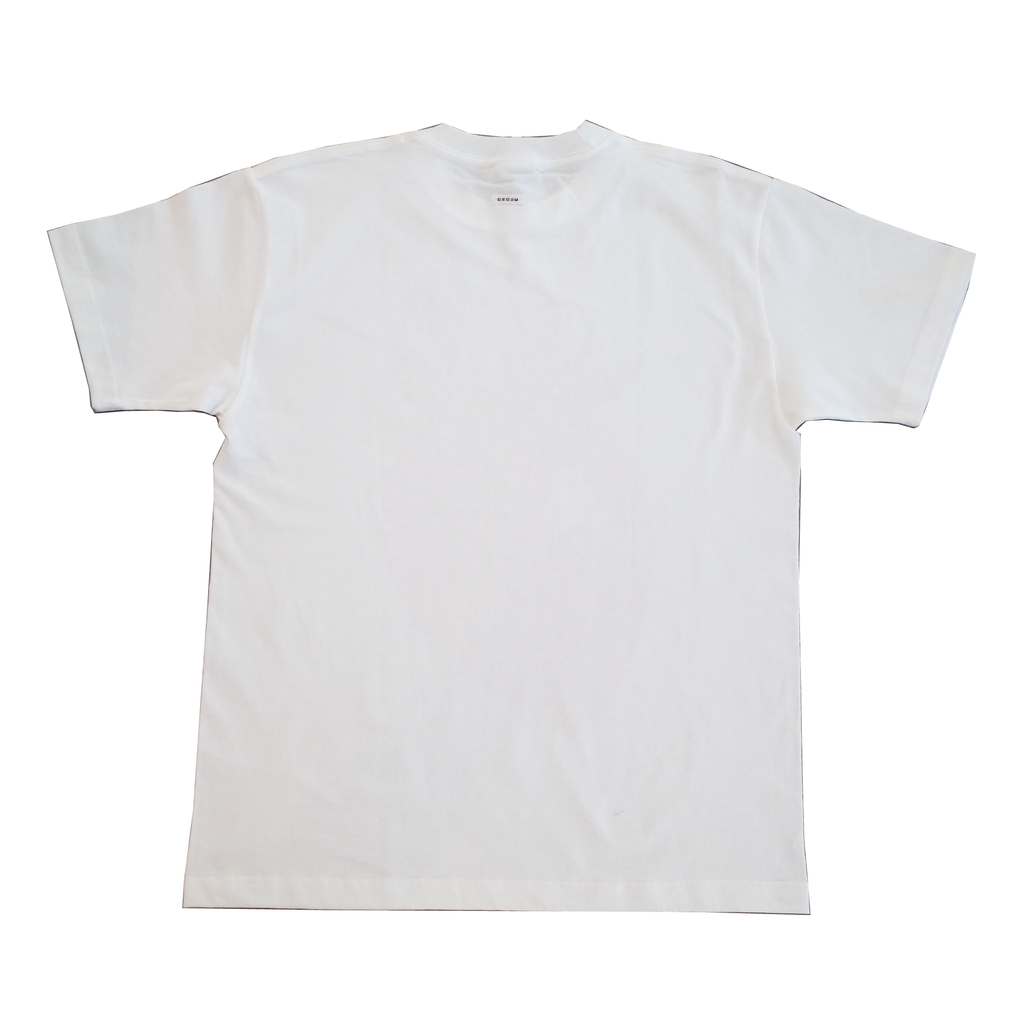 いちご Tシャツ